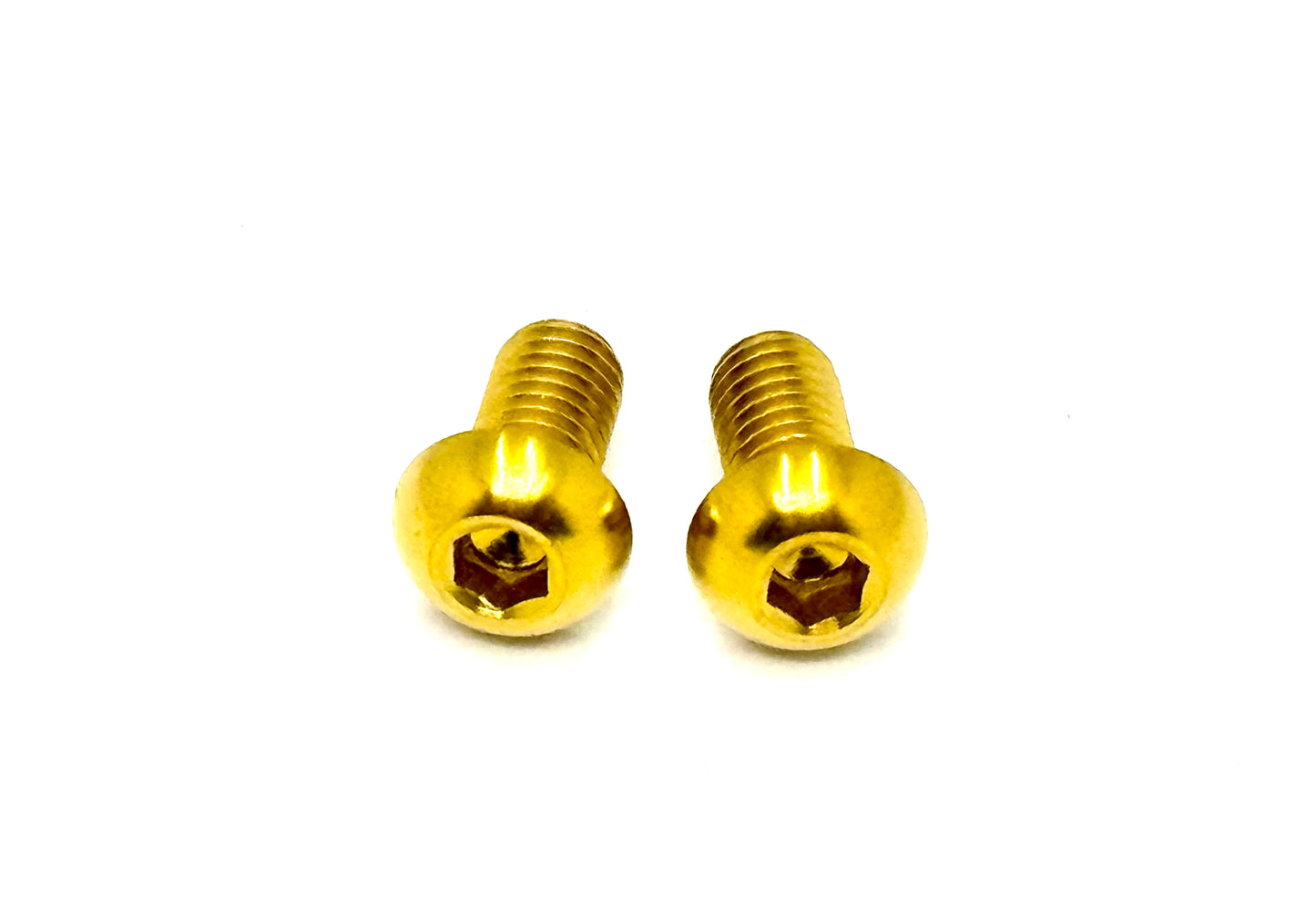 Talaria titanium chain guard bolts in gold.