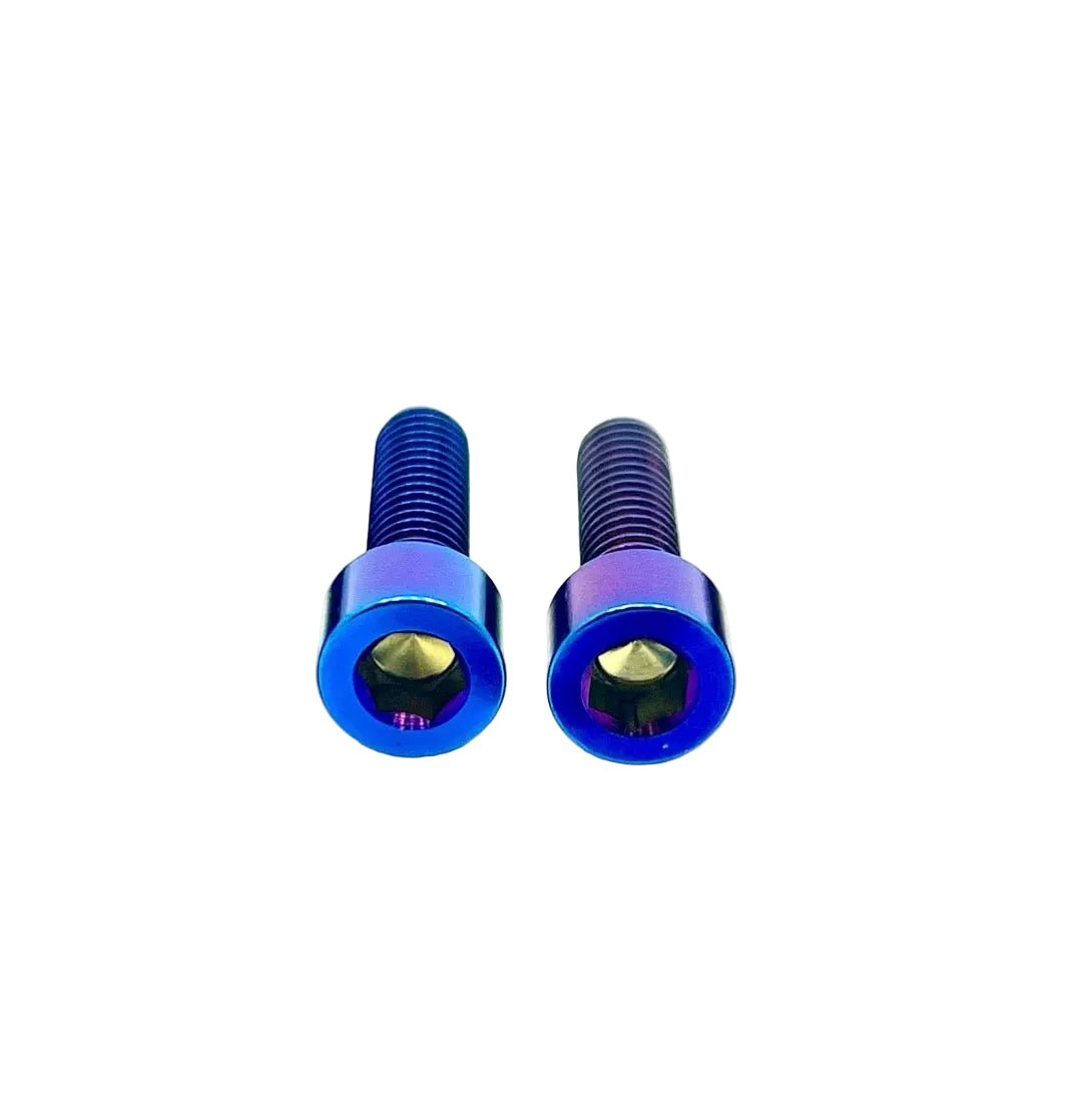 Titanium Prickly Motor Cover bolts burnt blue