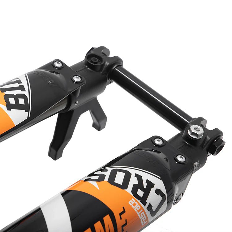 ALX13RC (2.0) FastAce Fork for E - Moto