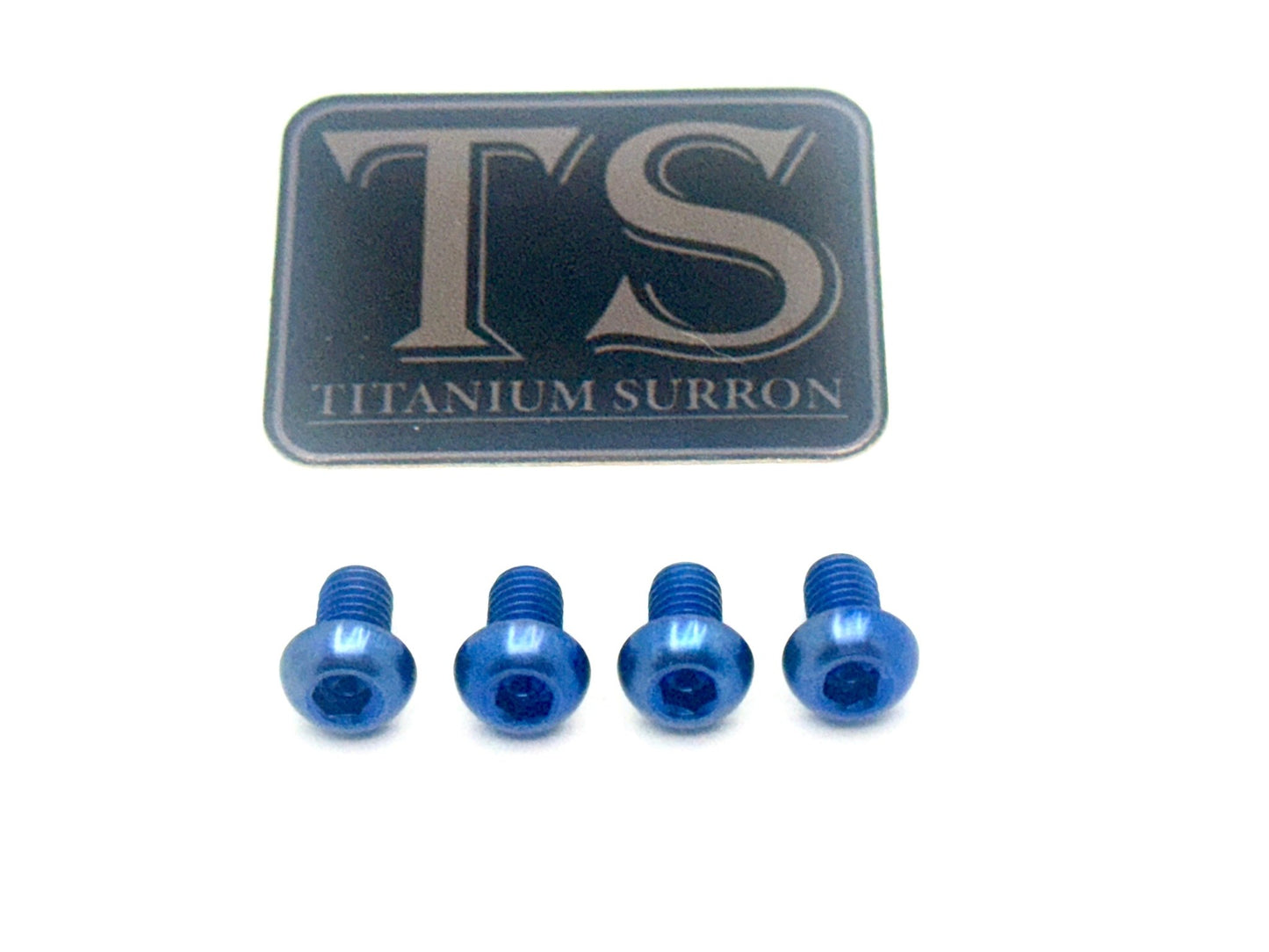 Controller Mount Bolts for E - moto -