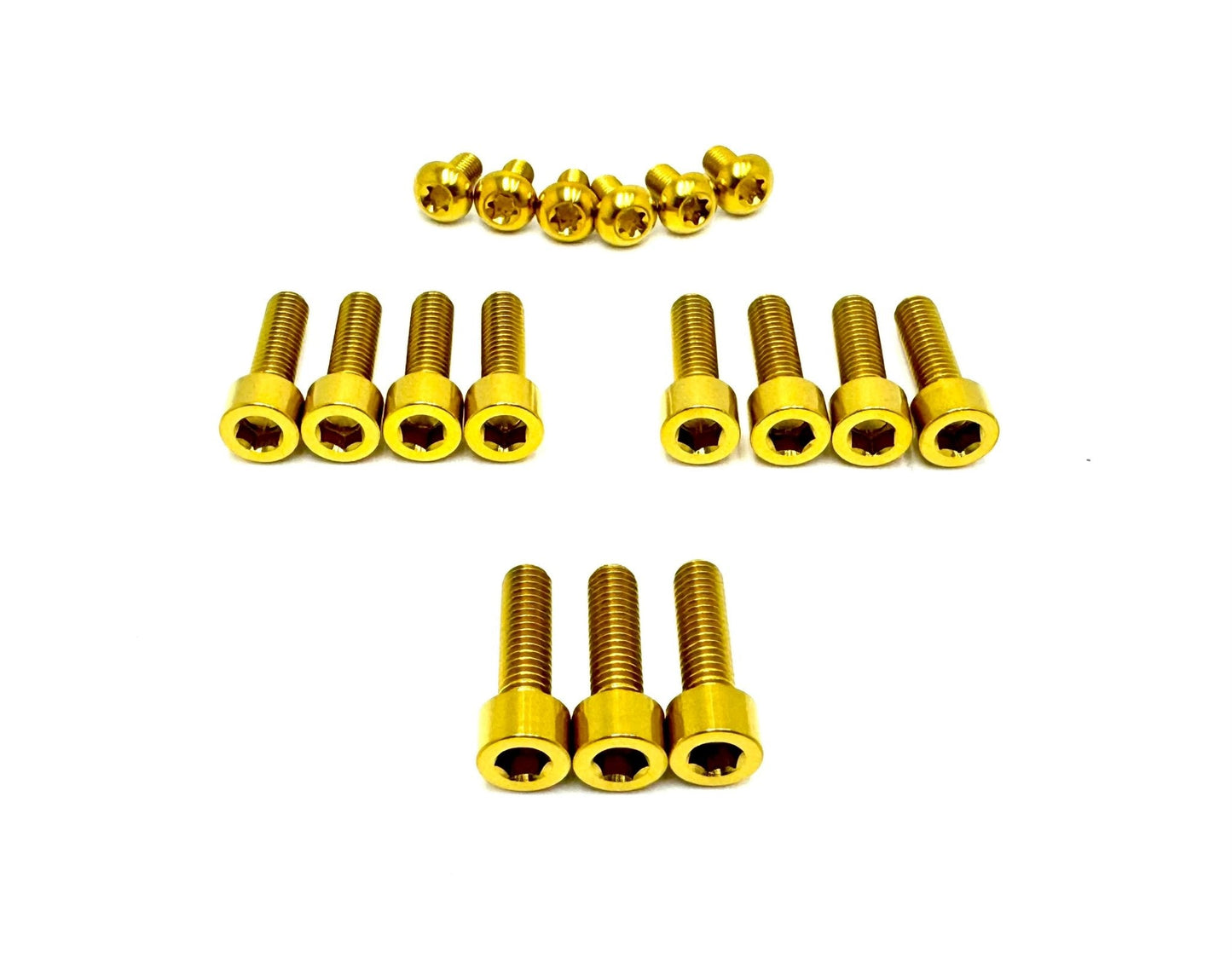 FastAce Fork Titanium Bolt Kits Surron, Talaria, E-Ride Pro and other E-moto 17 Piece Kit in Gold