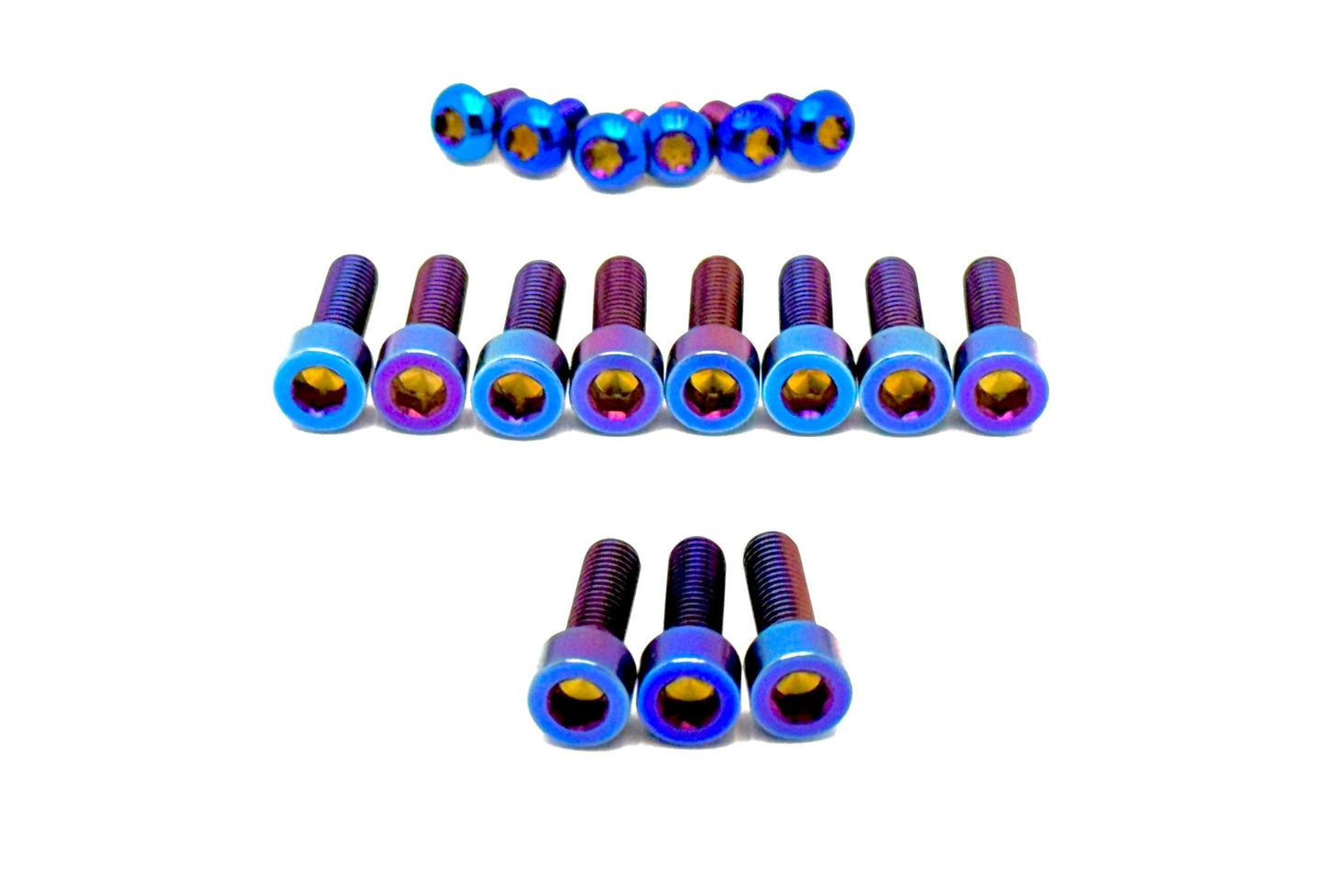 FastAce Fork Titanium Bolt Kits Surron, Talaria, E-Ride Pro and other E-moto 17 Piece Kit in Burnt Blue 2