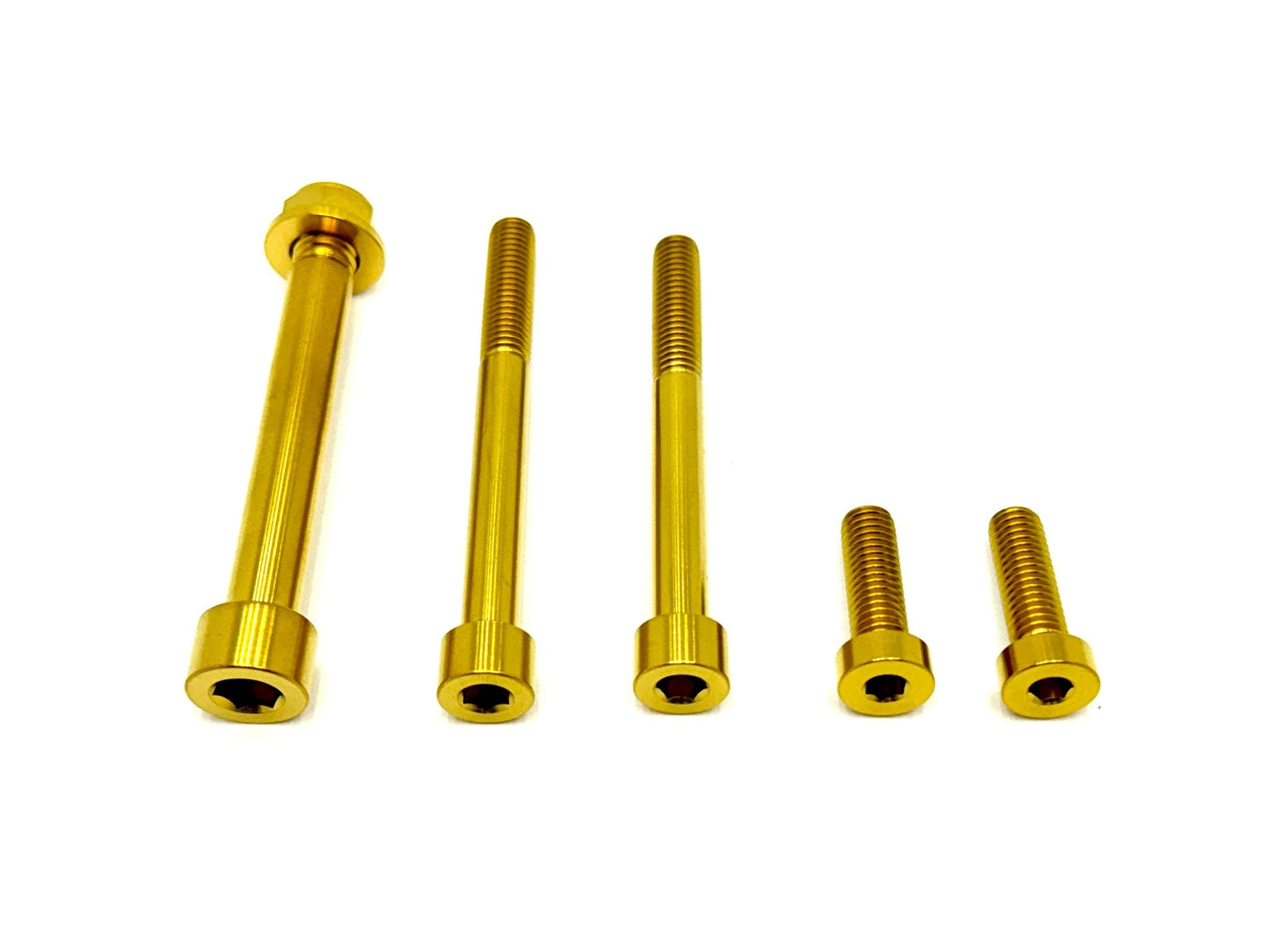 6 piece custom motor and gearbox titanium hardware kit in gold.