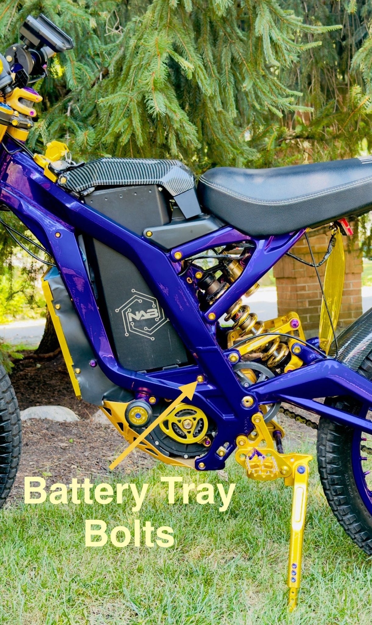 Titanium Battery Tray Bolts (Set of Two) Surron, Segway, E - Ride Pro