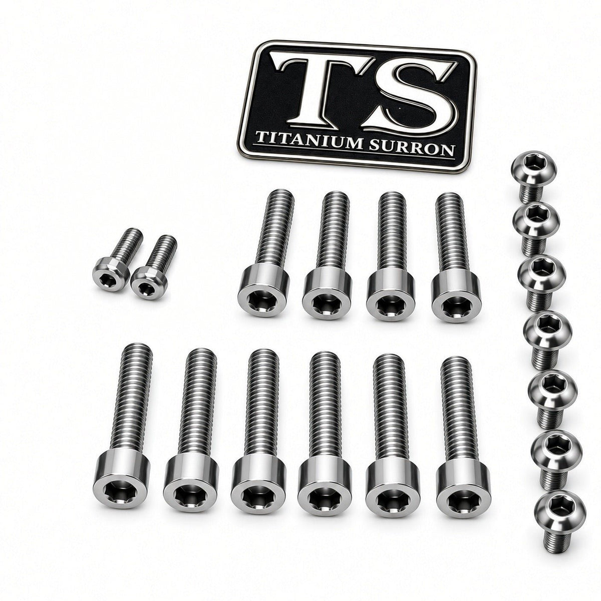 Titanium Bolt Kit for OEM Forks - Surron Light Bee 2 (LBX2)
