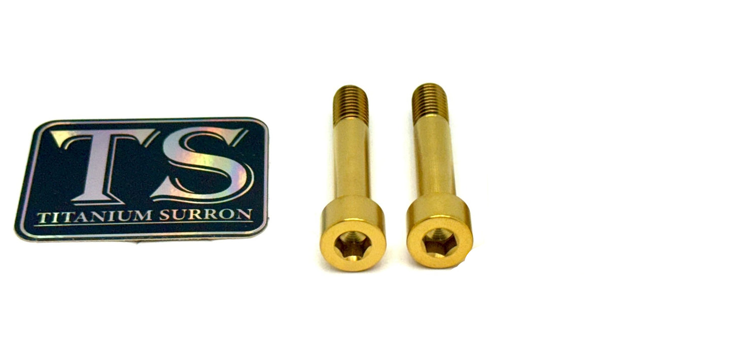 Titanium Motor Bolts - E - Ride Pro