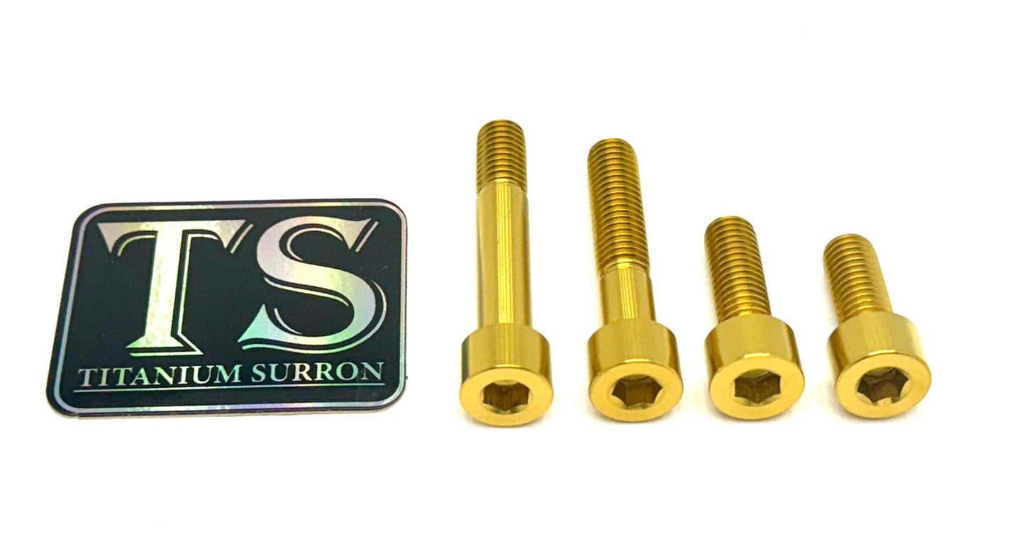 Anodized titanium motor mount bolt kit for the Surron Light Bee LBX and Segway X260 & X160 in gold