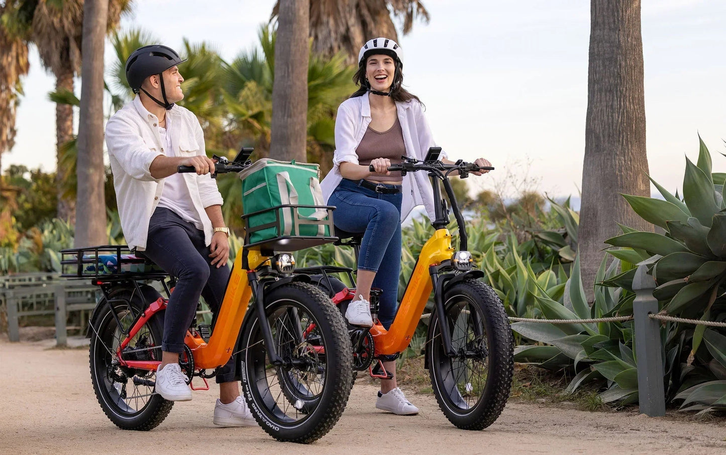 Heybike Horizon-Combo
