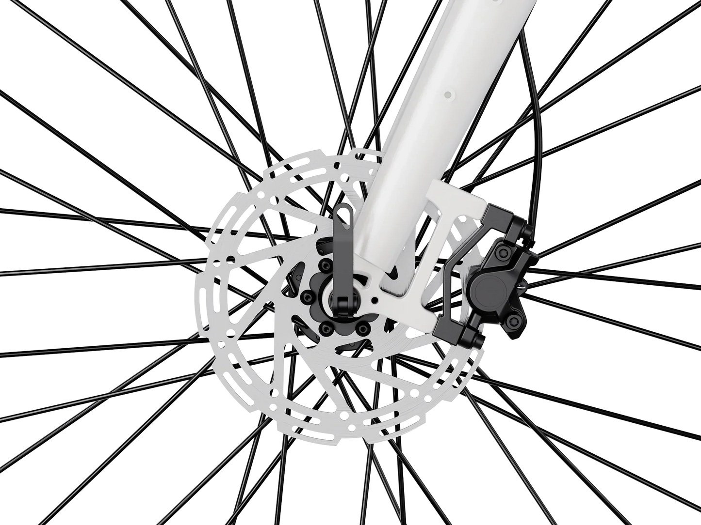 Heybike Venus