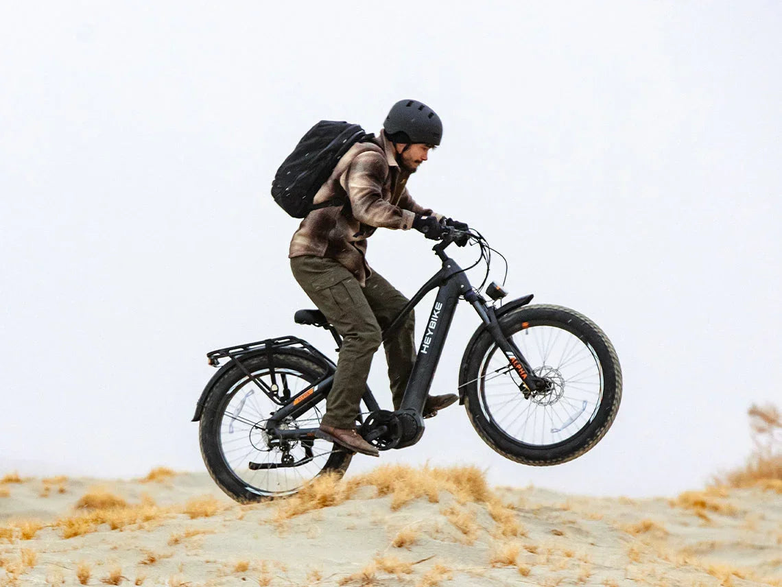 Heybike Alpha
