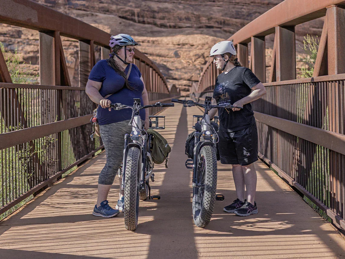 Heybike Alpha