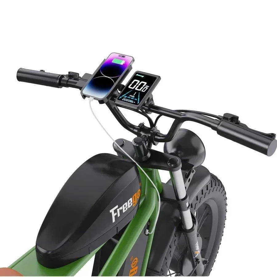 Freego Shotgun Flash F3 Pro Max Premium Electric Bike