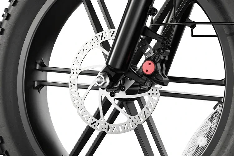 HOVSCO HovBeta 20" Foldable Fat Tire Electric Bike