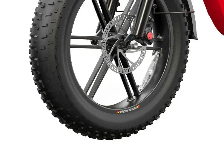 HOVSCO HovBeta 20" Foldable Fat Tire Electric Bike