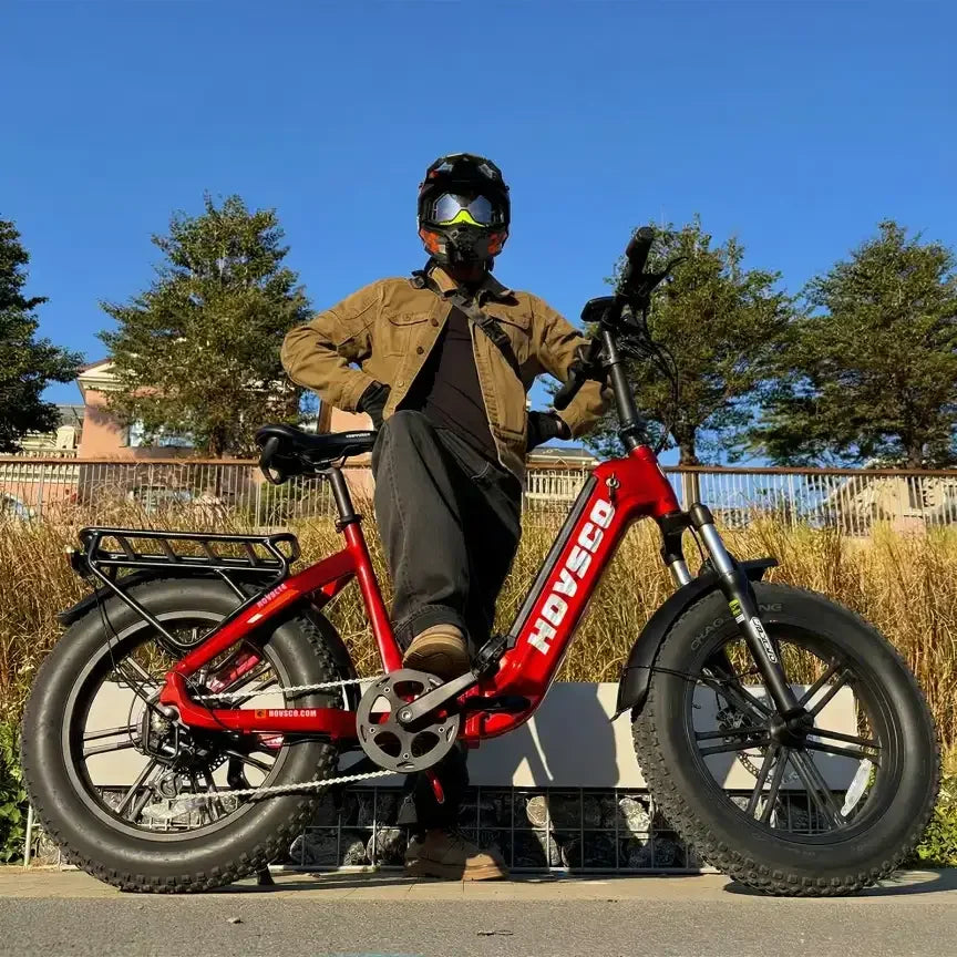 HOVSCO HovBeta 20" Foldable Fat Tire Electric Bike
