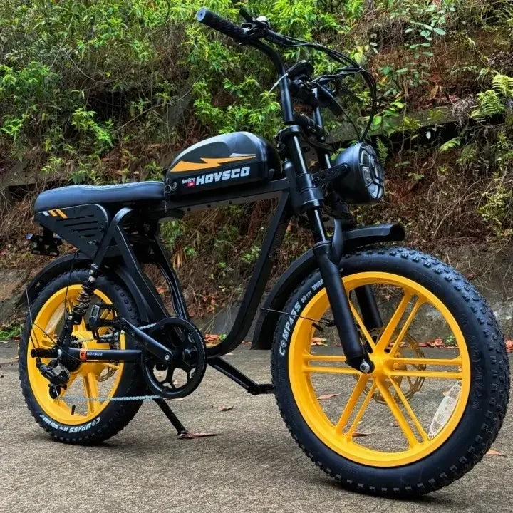 HOVSCO HovGtrs 1500W Moped-style Electric Bike