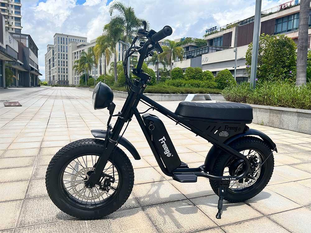 Freego Mini Fat Tire Electric Bike