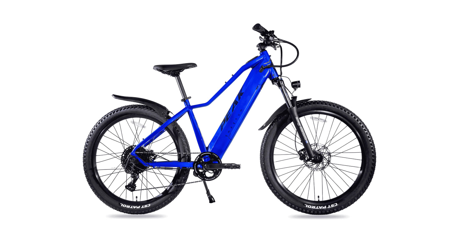 Magnum Peak 2.0 Electric Mountain Bike