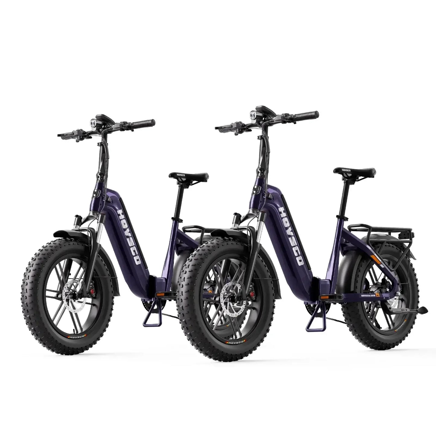HOVSCO HovBeta 20" Foldable Fat Tire Electric Bike