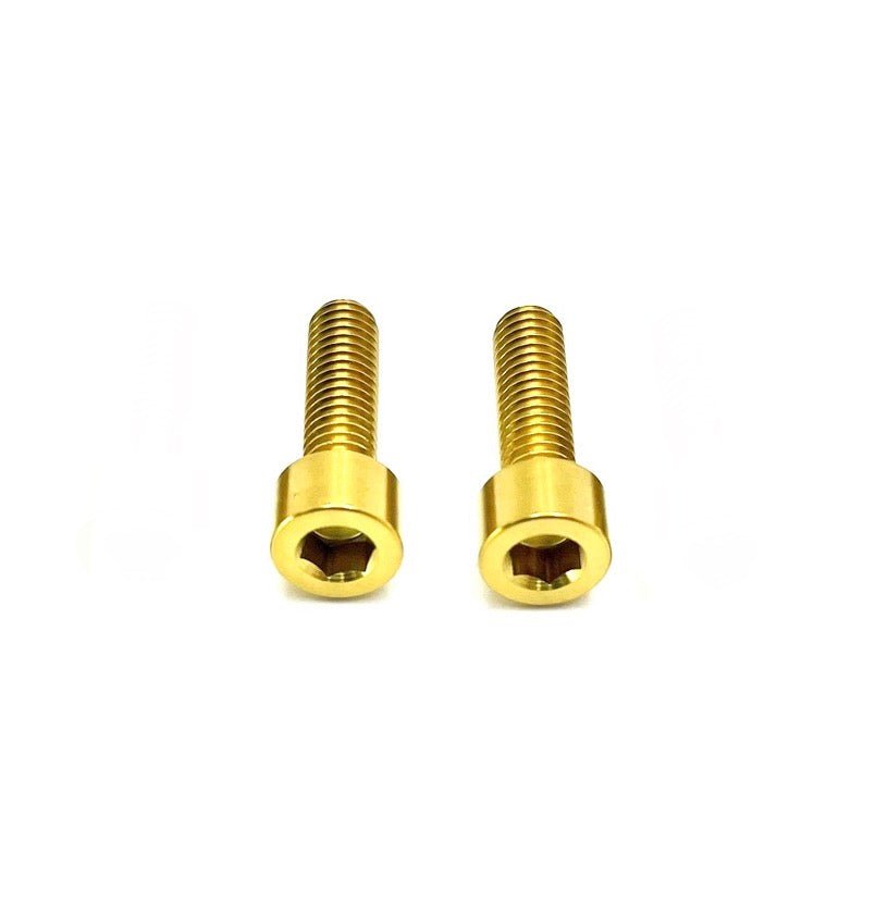 Titanium Prickly Motor Cover bolts gold