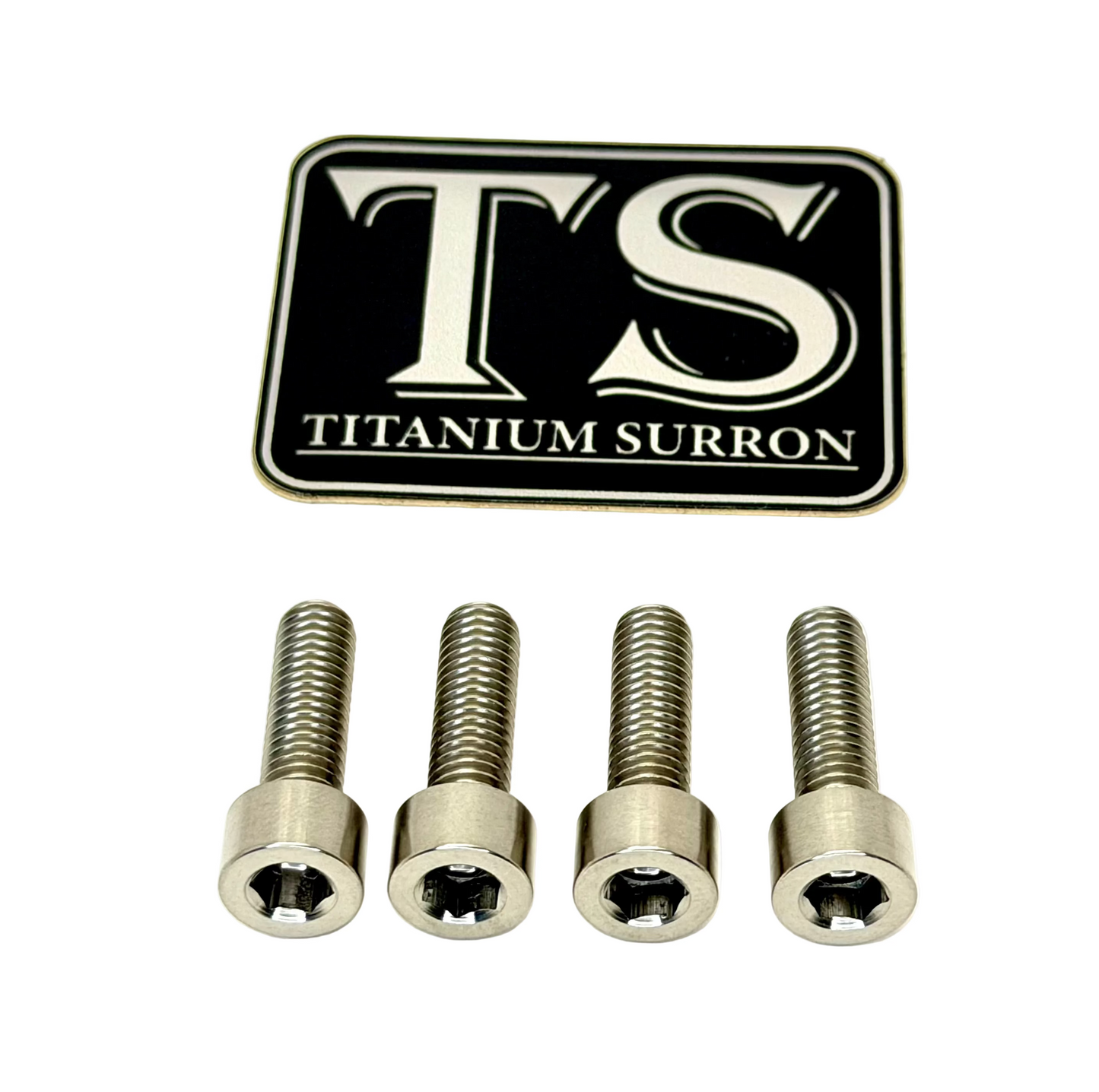 Titanium controller mount bolts for e-moto