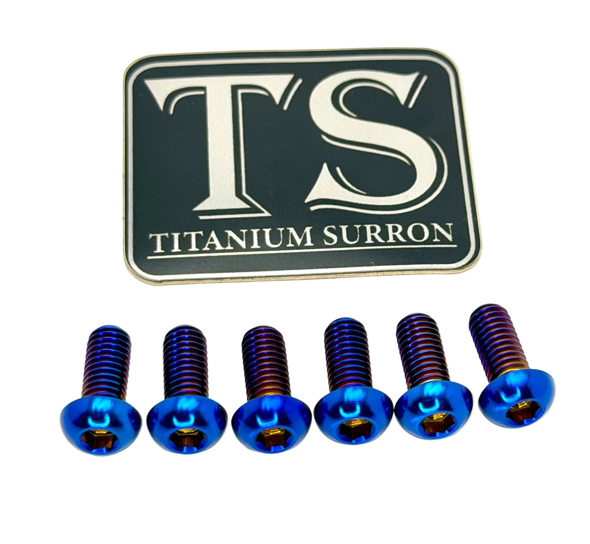 Titanium Rear Rotor Bolts - Altis Sigma and Surron Ultra Bee Burnt Blue