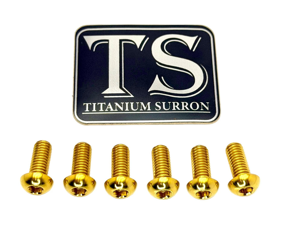 Titanium Rear Rotor Bolts - Altis Sigma and Surron Ultra Bee Gold