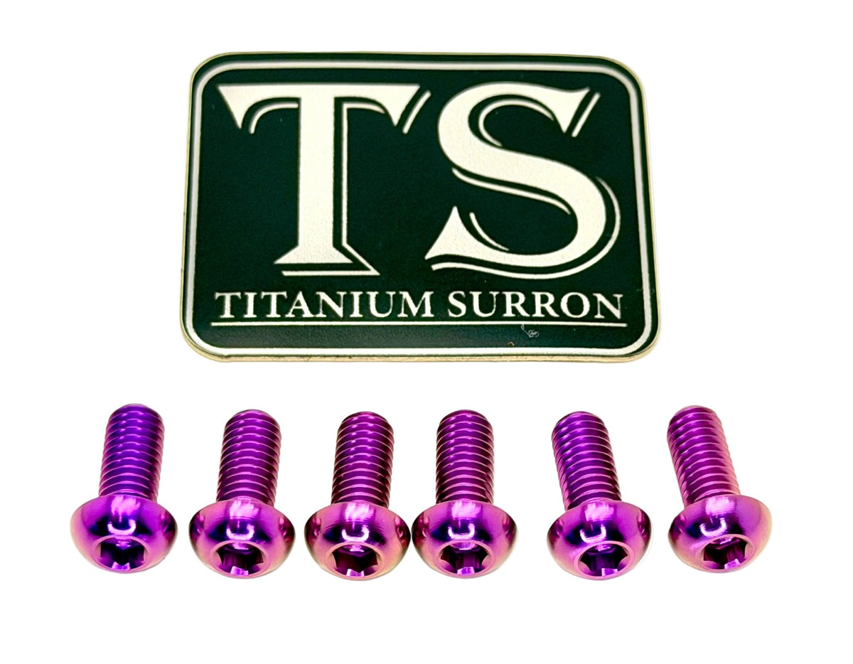 Titanium Rear Rotor Bolts - Altis Sigma and Surron Ultra Bee Purple