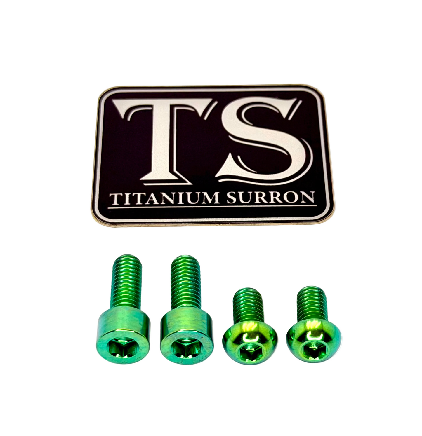 Titanium controller mount bolts for e-moto