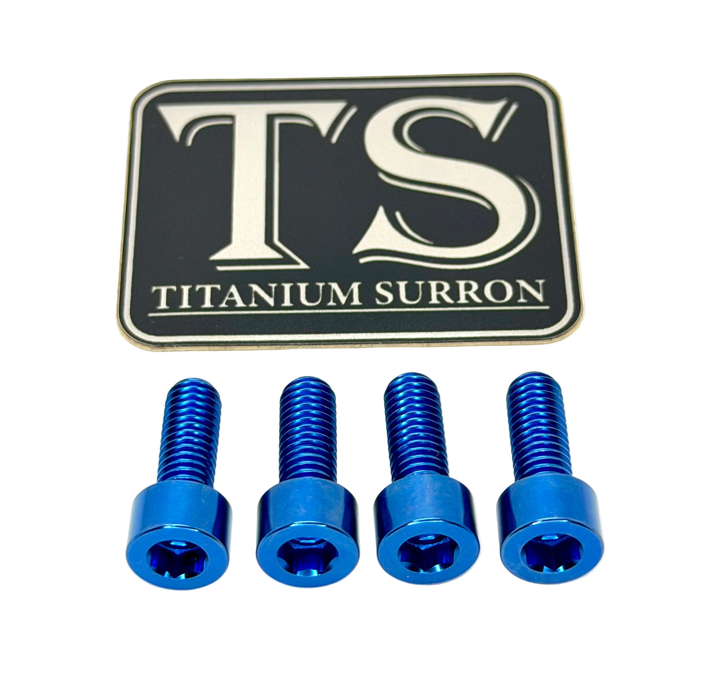 Titanium controller mount bolts for e-moto