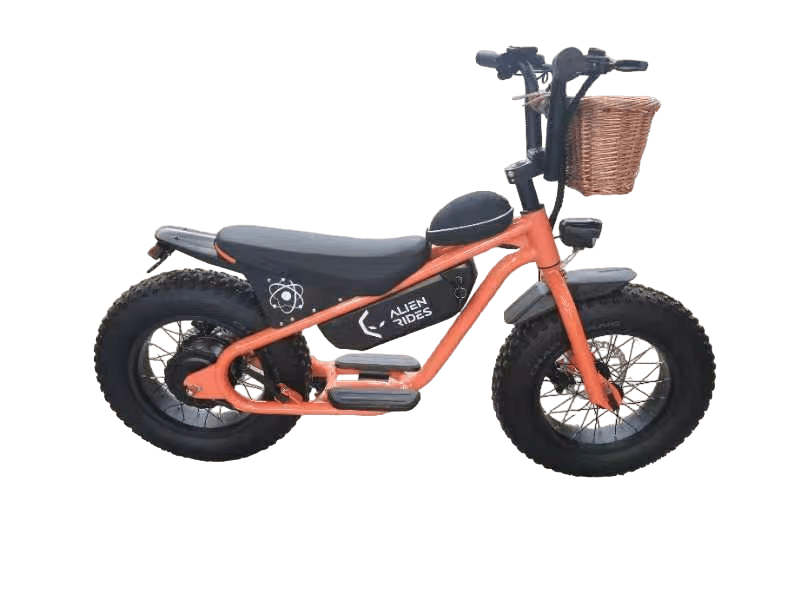 AR Atom 1000 Watt Mini Electric Bicycle