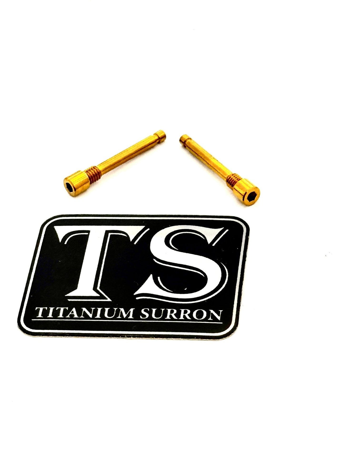 Brake - Pad Screws/ Pins - E - moto (set of two)