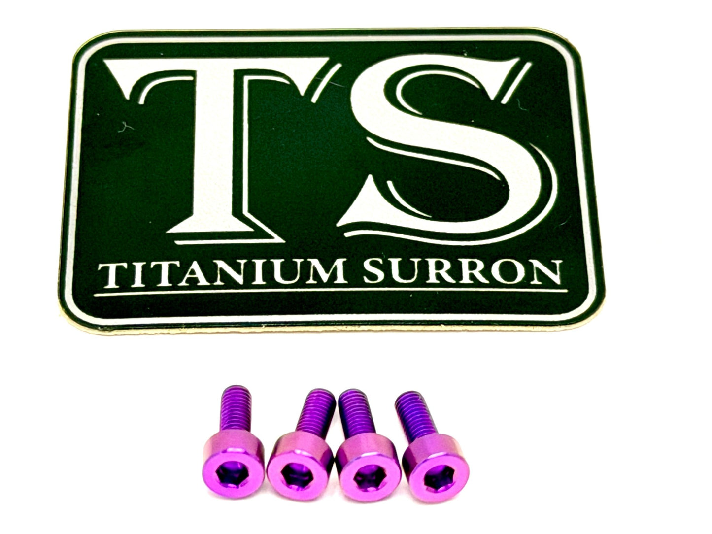 E - Ride Pro Display Protector Titanium Bolts
