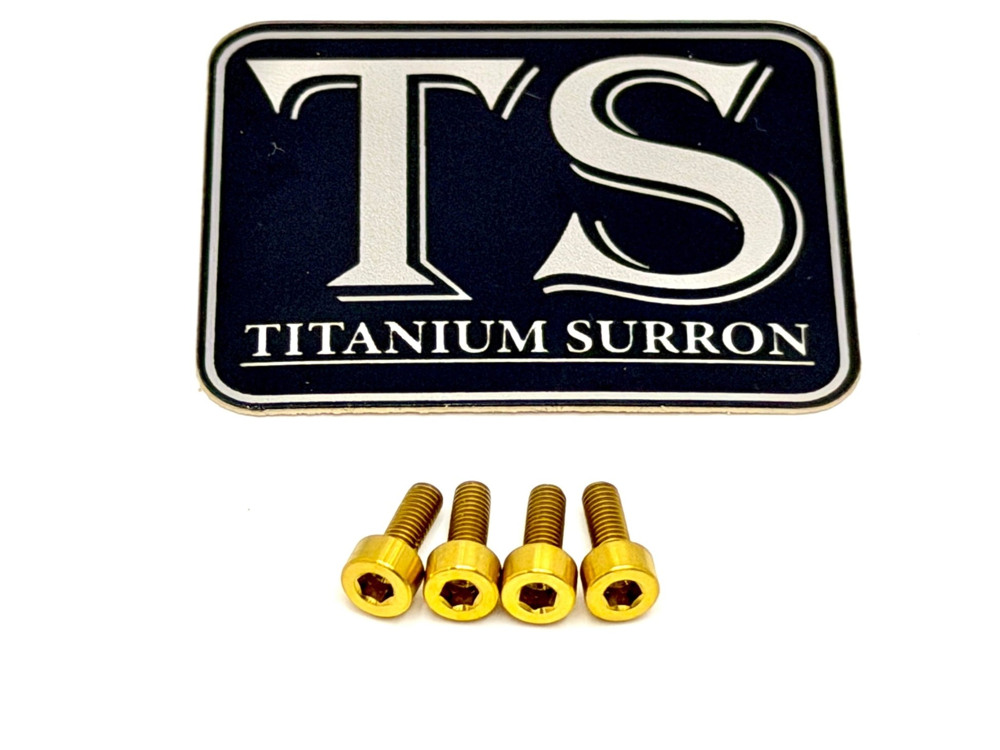 E - Ride Pro Display Protector Titanium Bolts