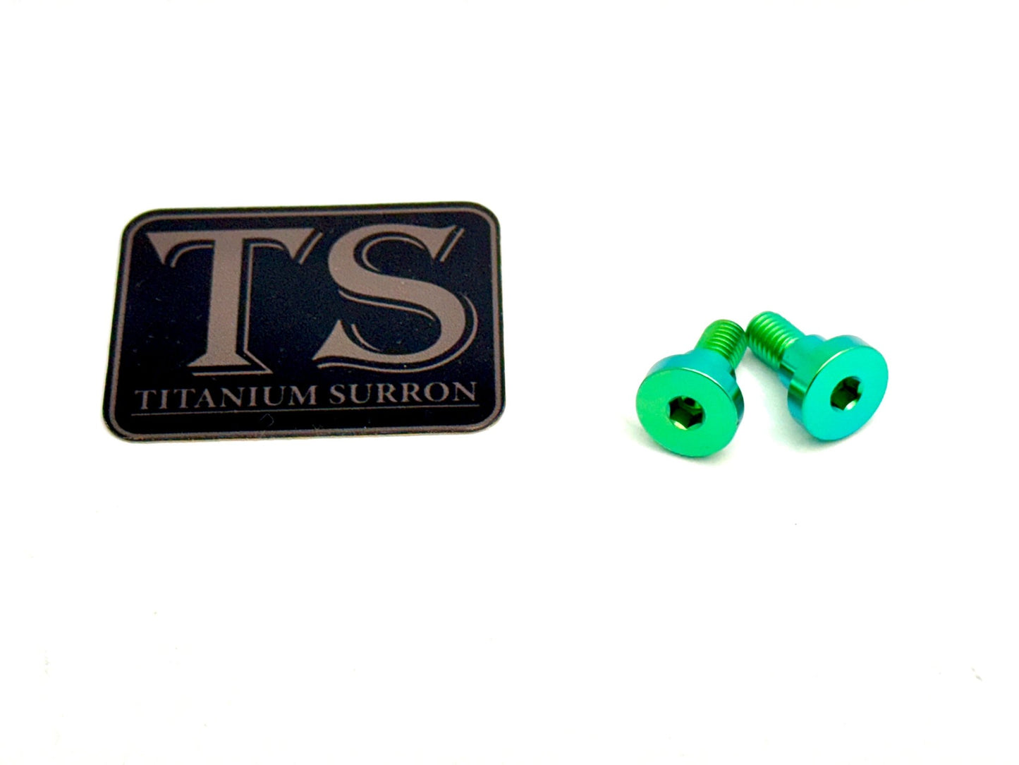 E - Ride Pro - Titanium Battery Lid Pins (Two Pcs)