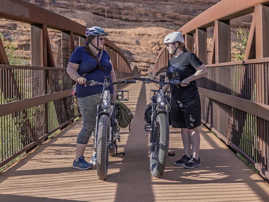 Heybike Alpha