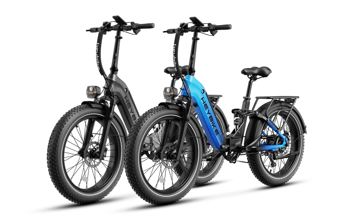 Heybike Horizon-Combo