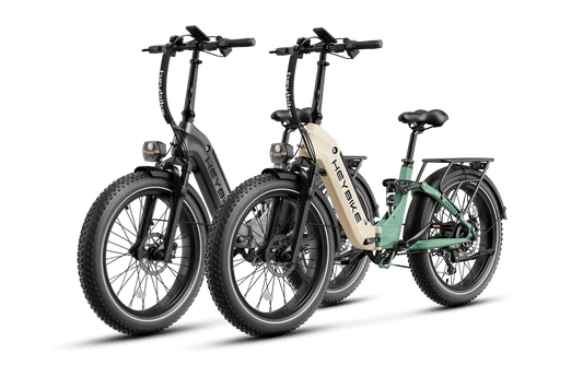 Heybike Horizon-Combo
