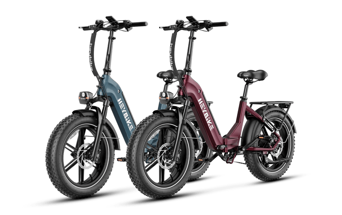 Heybike Ranger S 1000W Combo