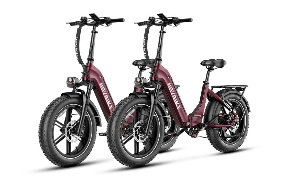 Heybike Ranger S 1000W Combo