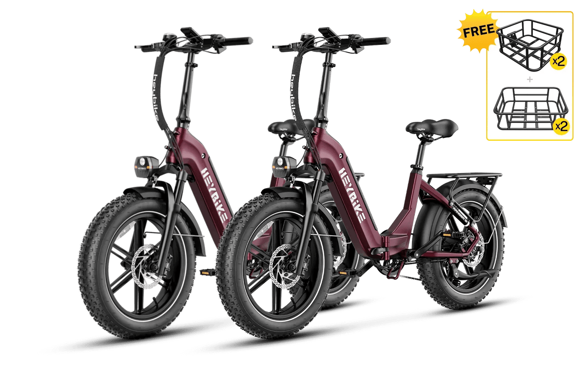 Heybike Ranger S 1000W Combo