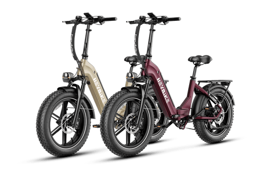 Heybike Ranger S 1000W Combo