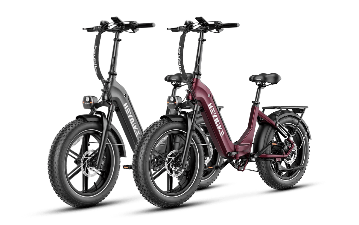Heybike Ranger S 1000W Combo