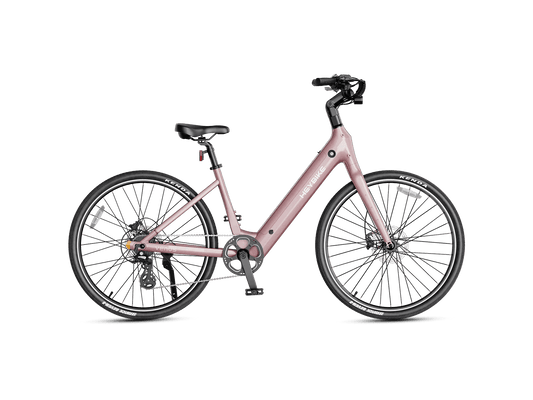 Heybike Venus