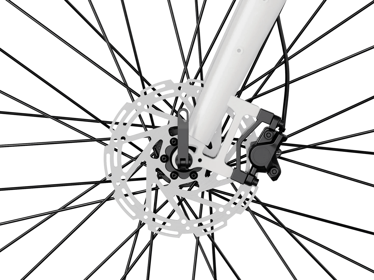 Heybike Venus