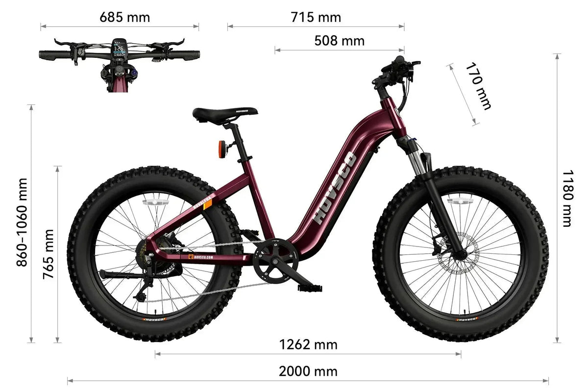 HOVSCO HovAlpha 26" Step-Thru Fat Tire Ebike