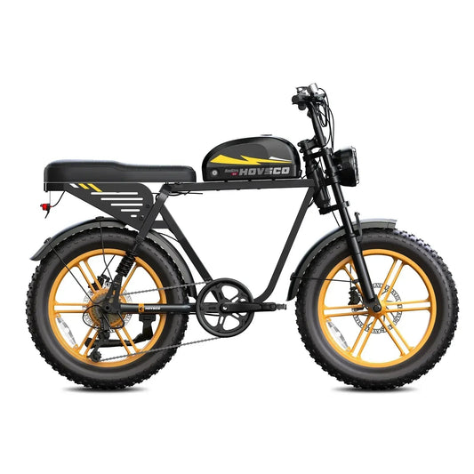 HOVSCO HovGtrs 1500W Moped-style Electric Bike
