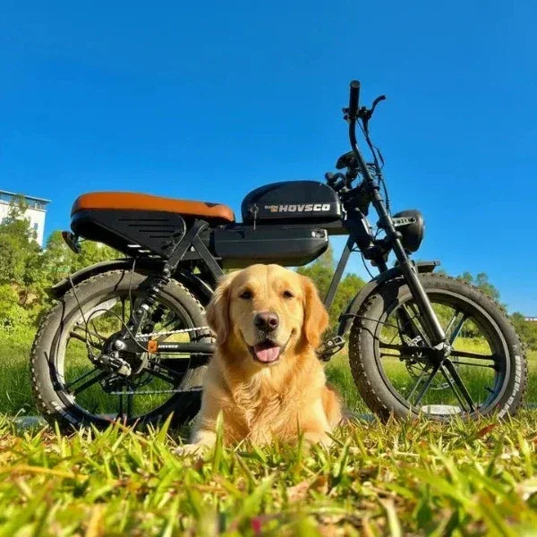 HOVSCO HovGtrs 1500W Moped-style Electric Bike