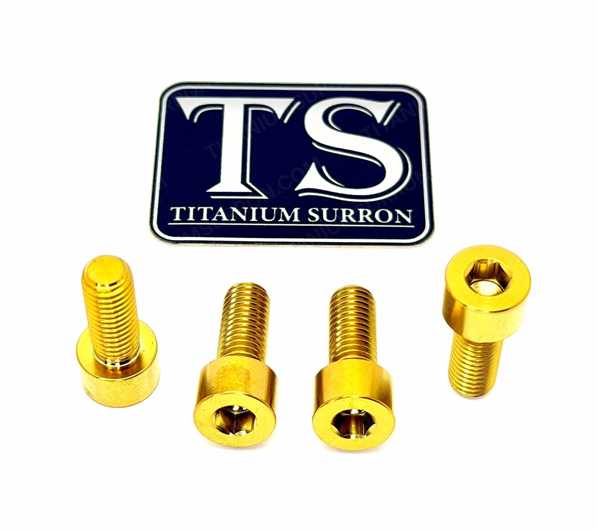 Titanium Axle Pinch Bolts for E-moto Forks