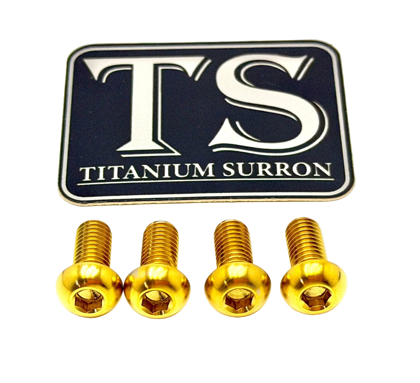 Titanium Bash Guard/ Skid Plate Bolts - E - moto